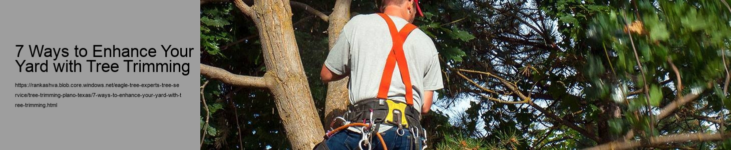 7 Ways to Enhance Your Yard with Tree Trimming