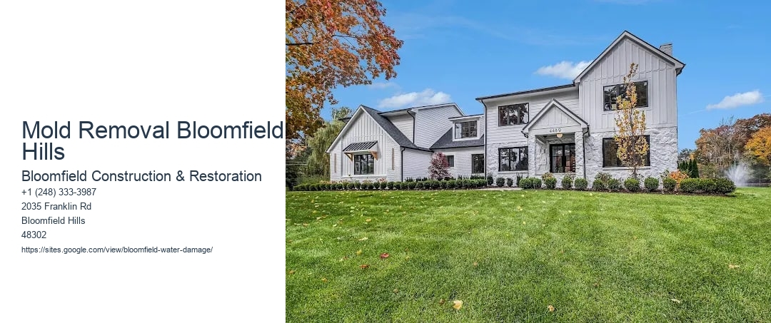 Mold Removal Bloomfield Hills