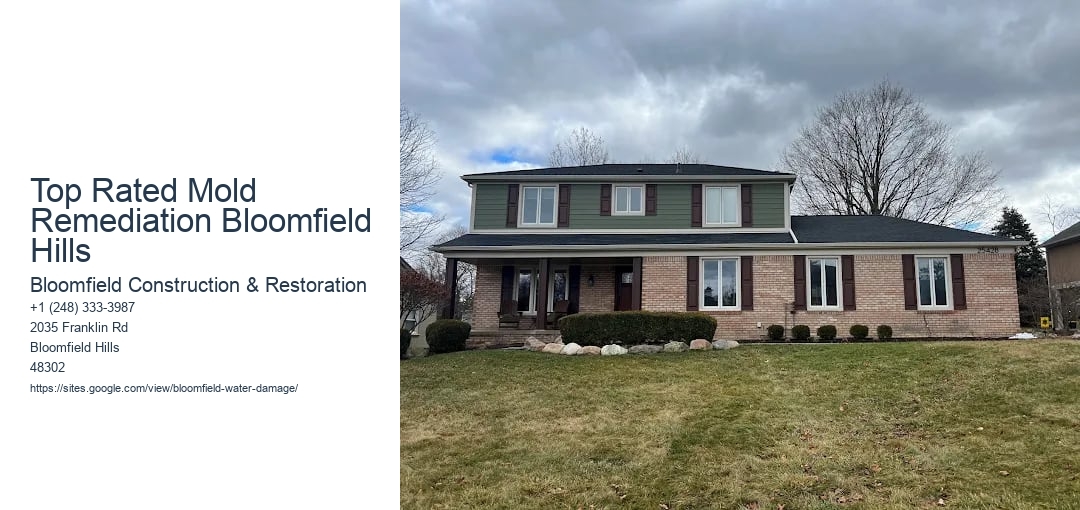 Top Rated Mold Remediation Bloomfield Hills