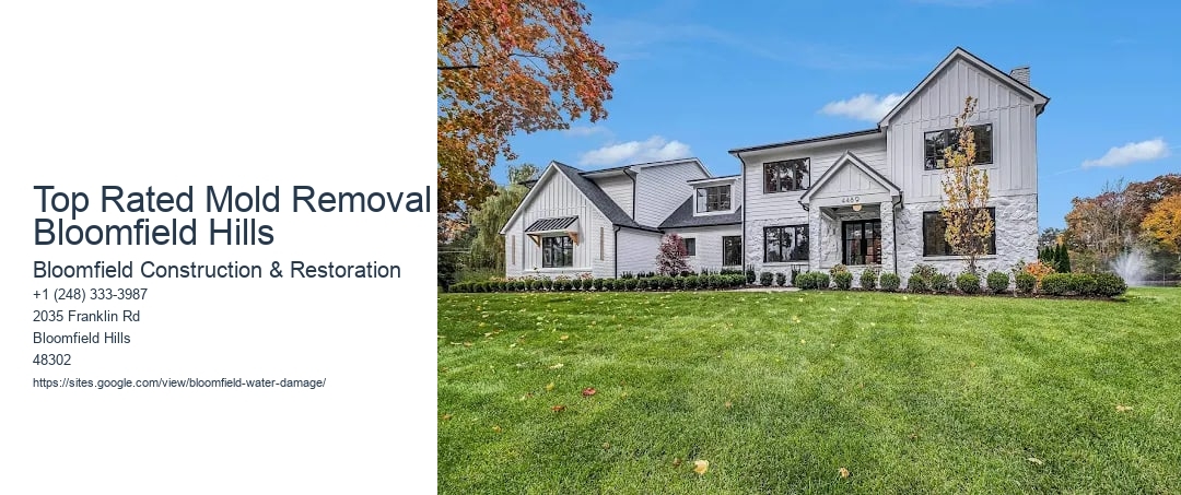 Top Rated Mold Removal Bloomfield Hills