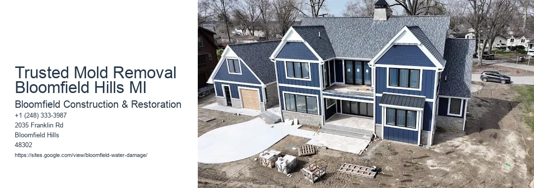 Trusted Mold Removal Bloomfield Hills MI