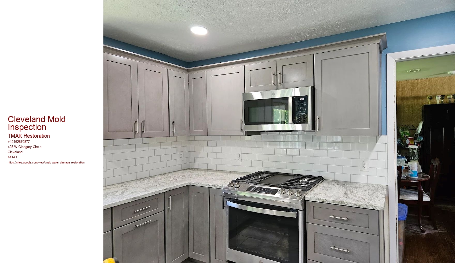 Cleveland Mold Inspection