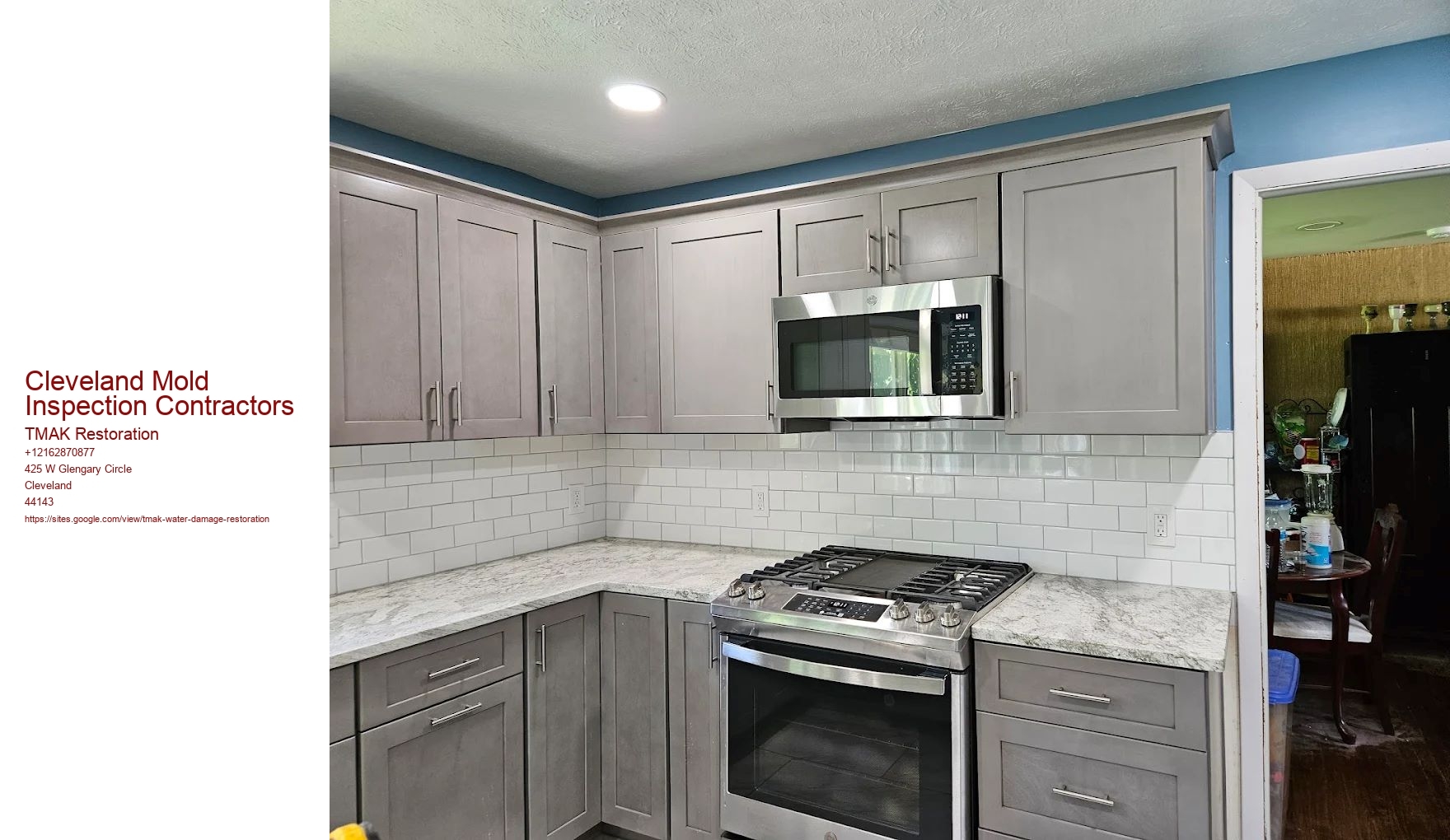 Cleveland Mold Inspection Contractors