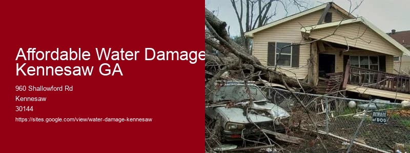 Affordable Water Damage Kennesaw GA