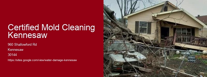 Certified Mold Cleaning Kennesaw