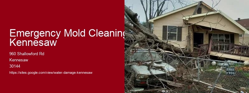 Emergency Mold Cleaning Kennesaw