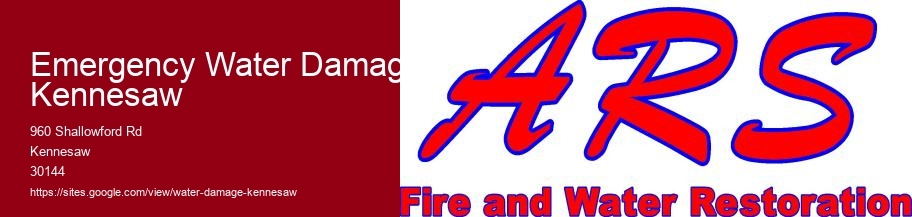 Emergency Water Damage Kennesaw