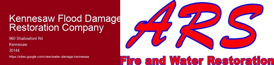 Kennesaw Flood Damage Restoration Company