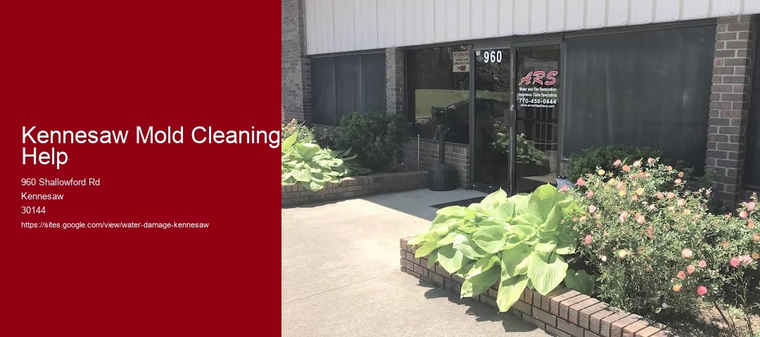 Kennesaw Mold Cleaning Help