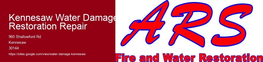 Kennesaw Water Damage Restoration Repair