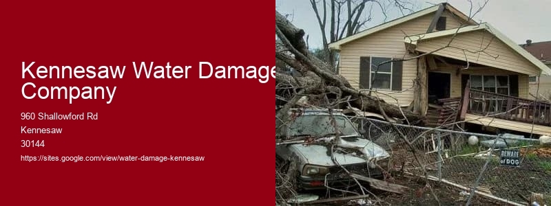 Kennesaw Water Damage Company