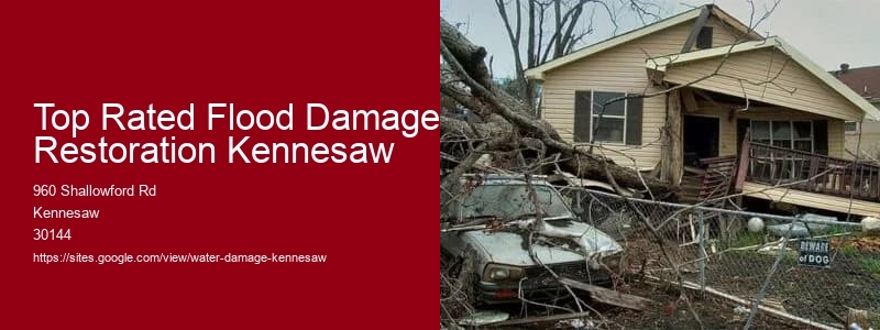 Top Rated Flood Damage Restoration Kennesaw