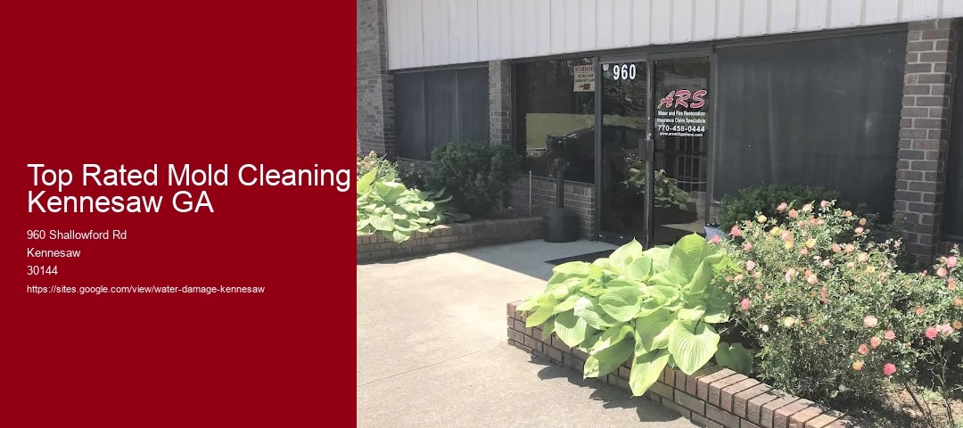 Top Rated Mold Cleaning Kennesaw GA
