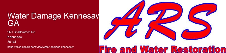 Water Damage Kennesaw GA