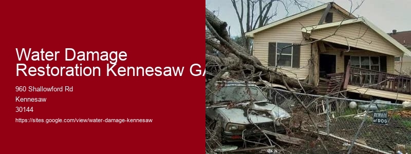 Water Damage Restoration Kennesaw GA