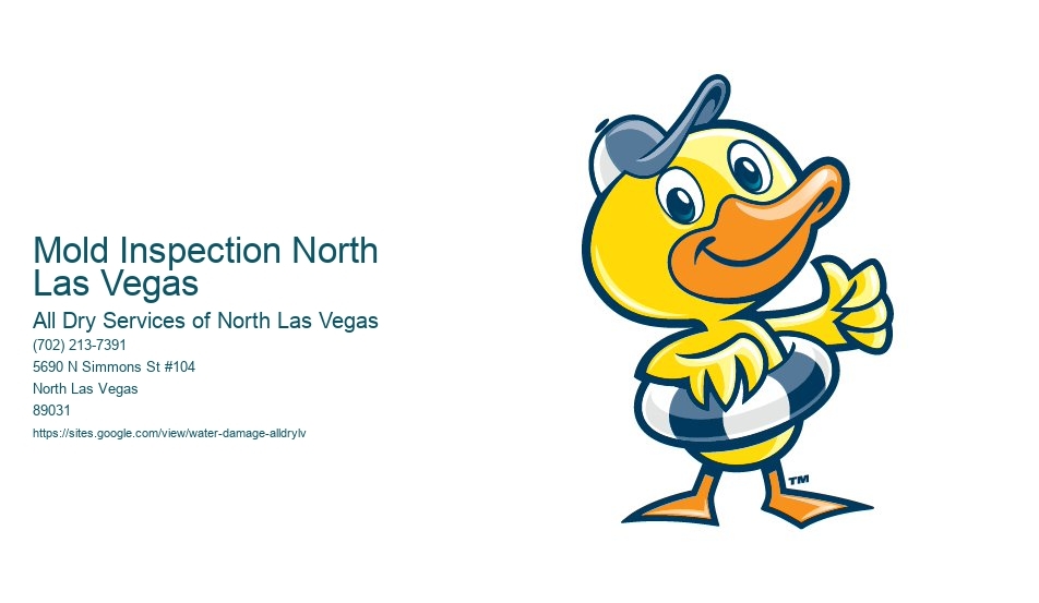 Mold Inspection North Las Vegas