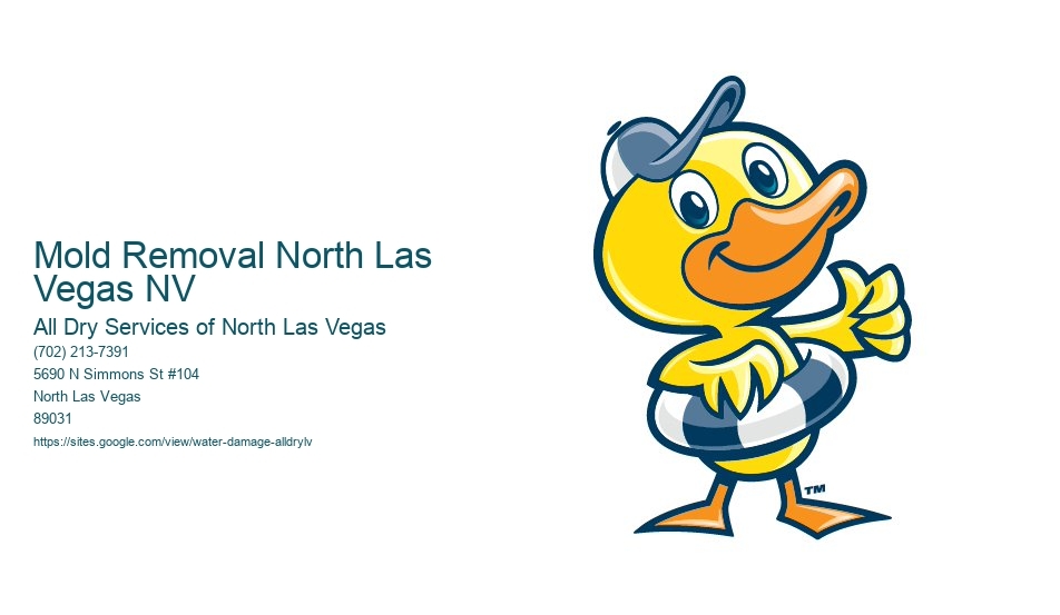 Mold Removal North Las Vegas NV