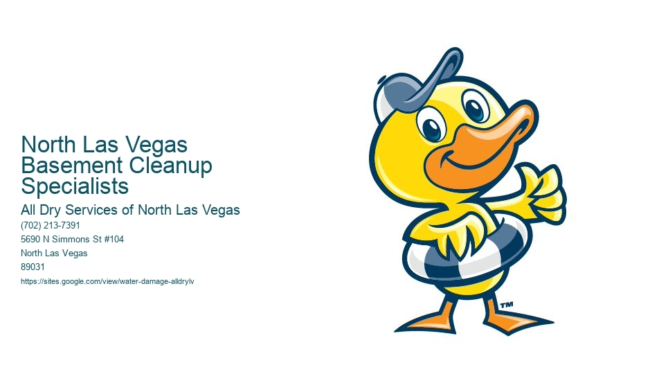 North Las Vegas Basement Cleanup Specialists