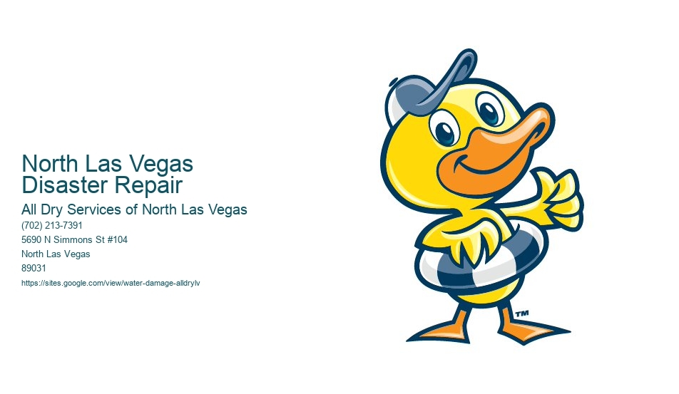 North Las Vegas Disaster Repair